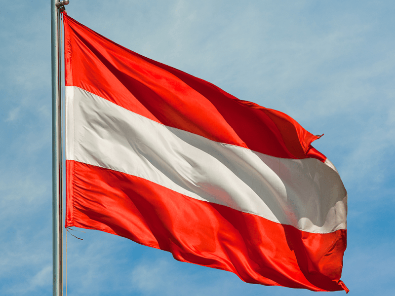 Recent History: How the First FPÖ-ÖVP Government Came to&nbsp;Be